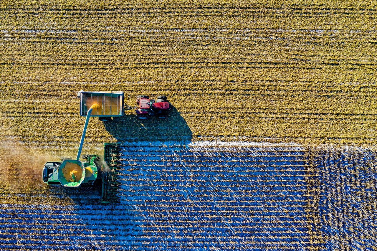 Tractor recogiendo cultivos en el campo